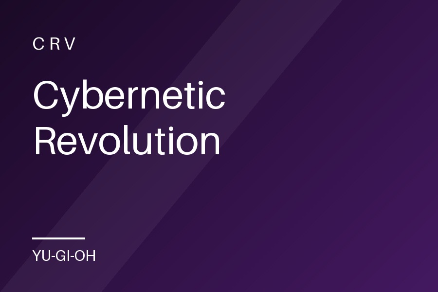 Cybernetic Revolution