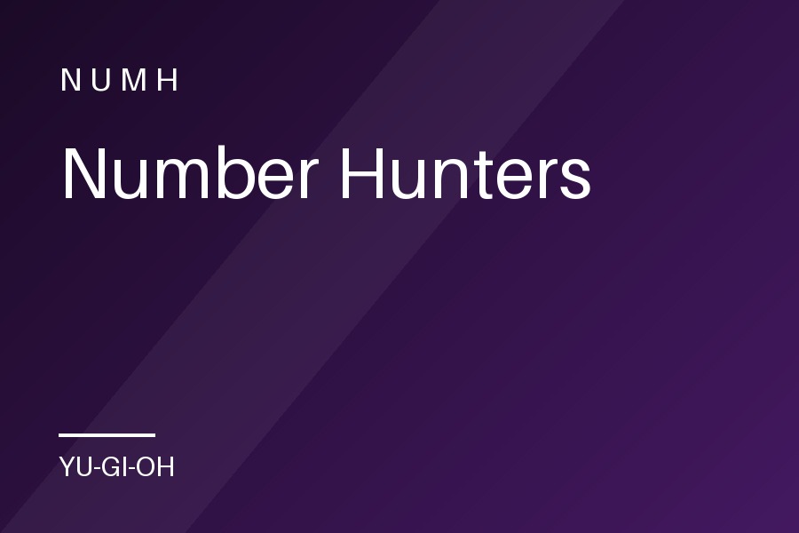 Number Hunters